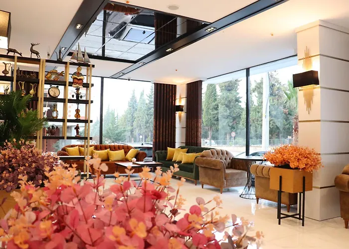 Samsun Meshotel